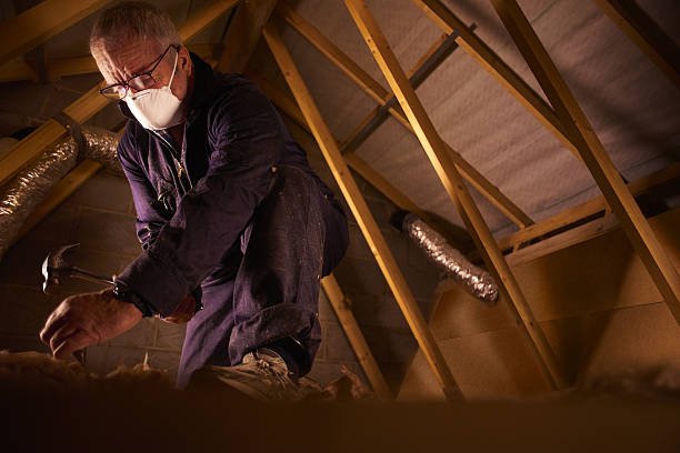 Best DIY Insulation Kits and Guidance in El Reno, OK